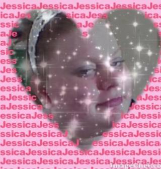 Member profile preview